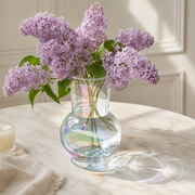 Hydroponic Plant Glass Flower Arrangement Vase