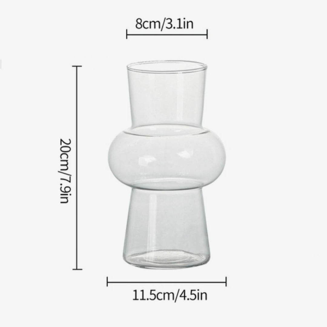 Modern Decorative Clear Hydroponic Vase