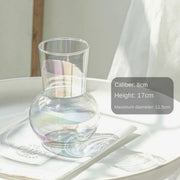 Hydroponic Plant Glass Flower Arrangement Vase